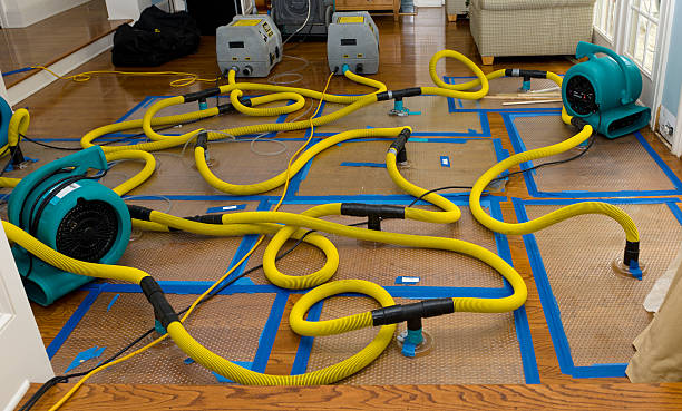 Professional Crawl Space Water Removal technician working in Elkins, AR